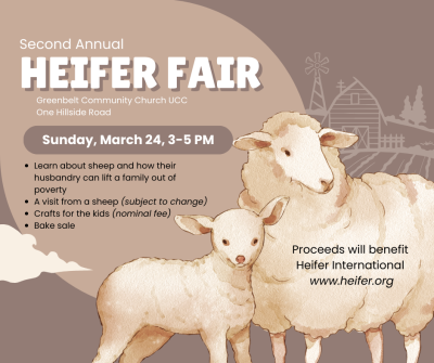 GCCUCC sheep fair